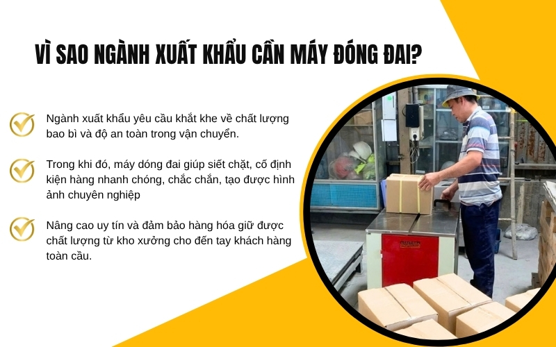 Vì sao ngành xuất khẩu cần máy đóng đai