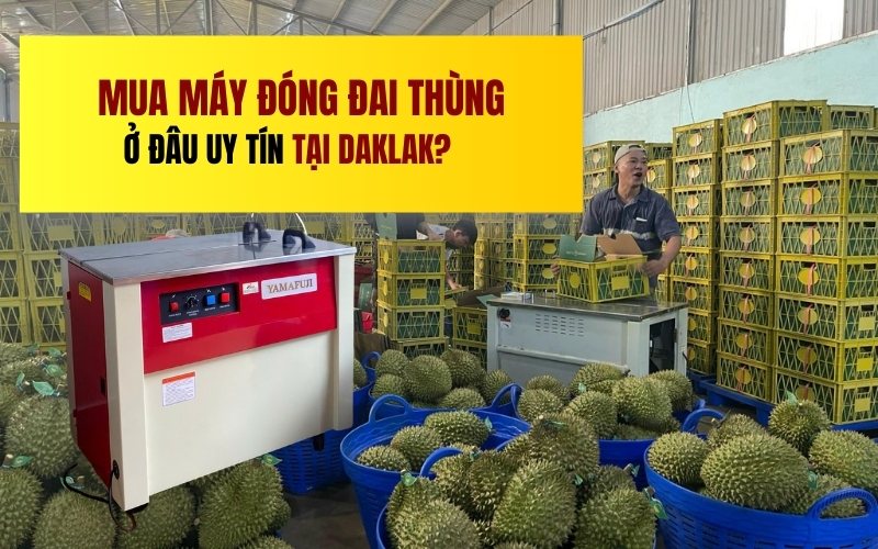 Mua máy đóng đai thùng ở đâu uy tín tại Daklak?