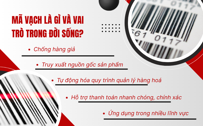 Mã vạch là gì và vai trò trong đời sống?