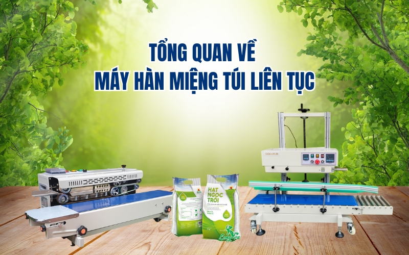 Tổng Quan Về Máy Hàn Miệng Túi Liên Tục