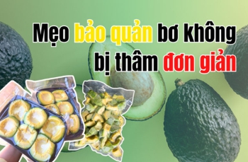 Mẹo bảo quản bơ không bị thâm đơn giản