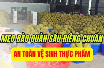 Mẹo bảo quản sầu riêng chuẩn an toàn vệ sinh thực phẩm