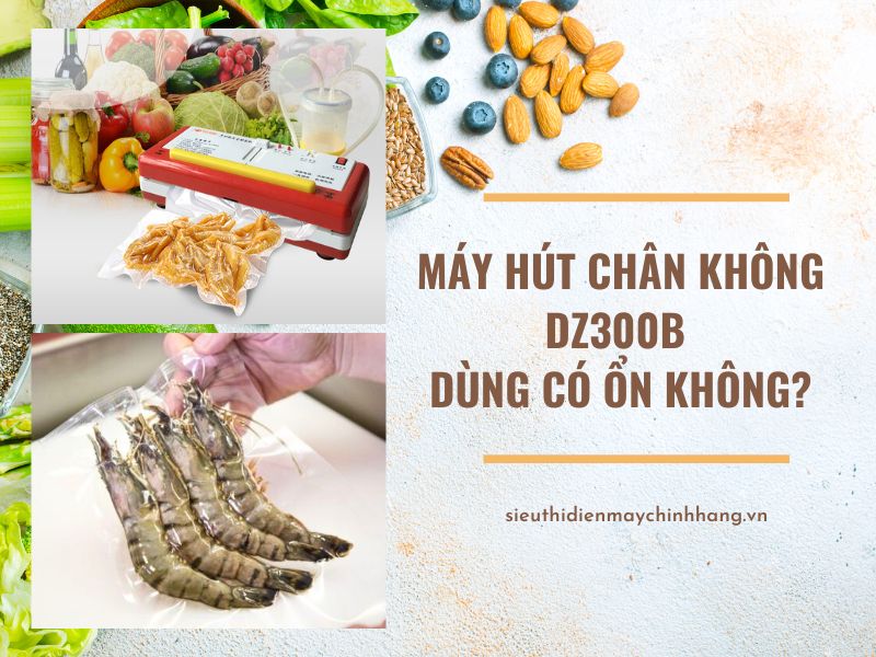 Máy hút chân không dz300b dùng có ổn không
