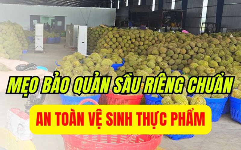 Mẹo bảo quản sầu riêng chuẩn an toàn vệ sinh thực phẩm