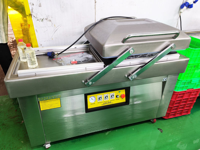 Máy ép chân không 2 buồng DZ-500/2SB