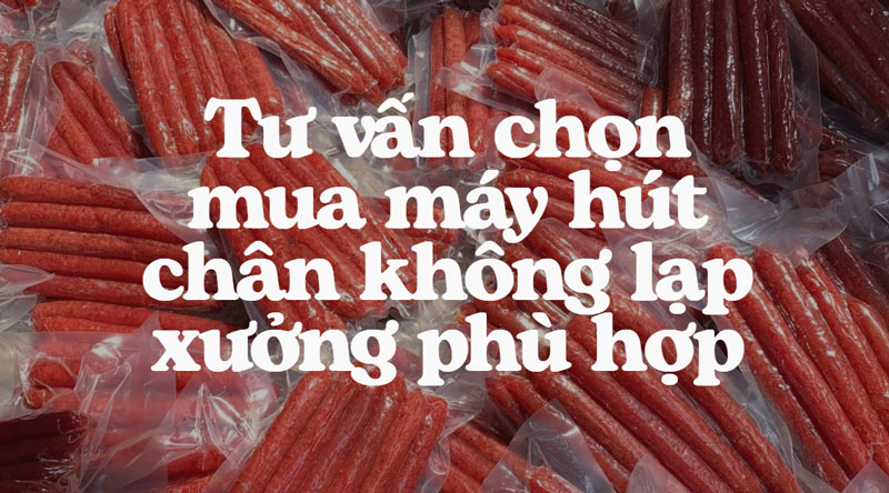 Tư vấn chọn mua máy hút chân không lạp xưởng phù hợp