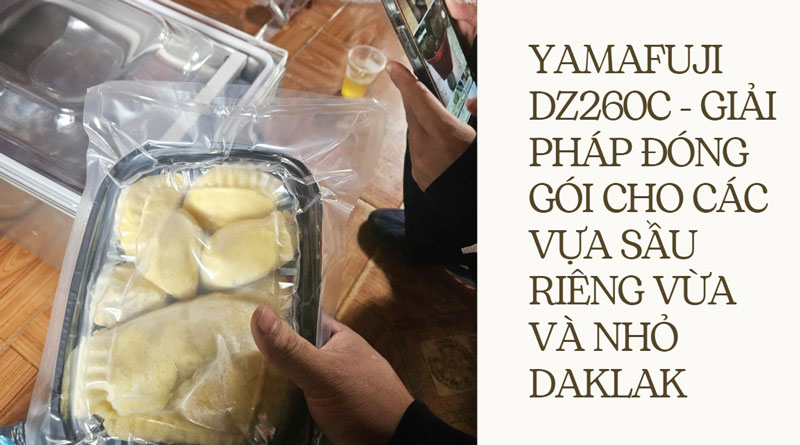 Yamafuji DZ260C - Giải pháp đóng gói cho các vựa sầu riêng vừa và nhỏ Daklak