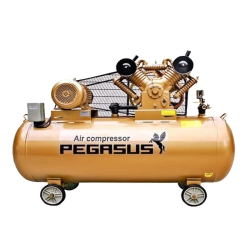 Bình tích khí PEGASUS 330L 