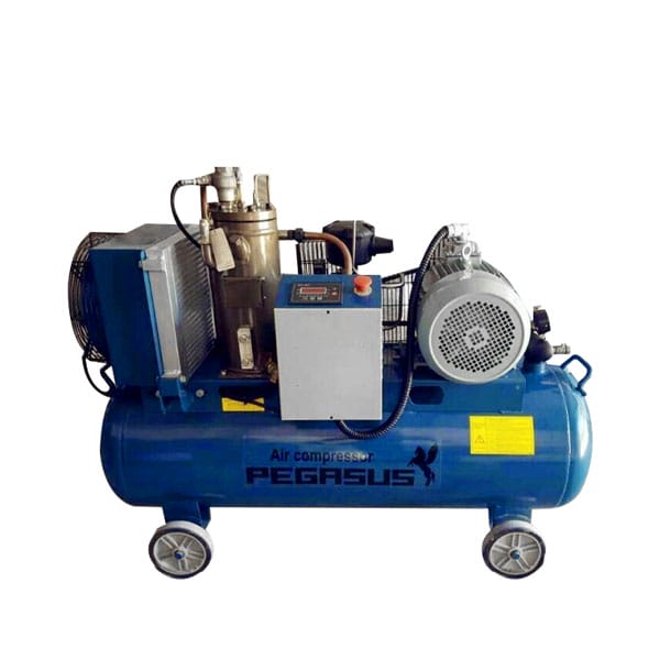 Máy nén khí trục vít PEGASUS TMTV-15A
