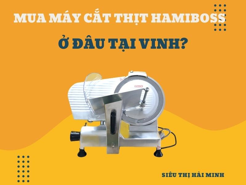 Mua-may-thai-thit-o-dau-tai-Vinh