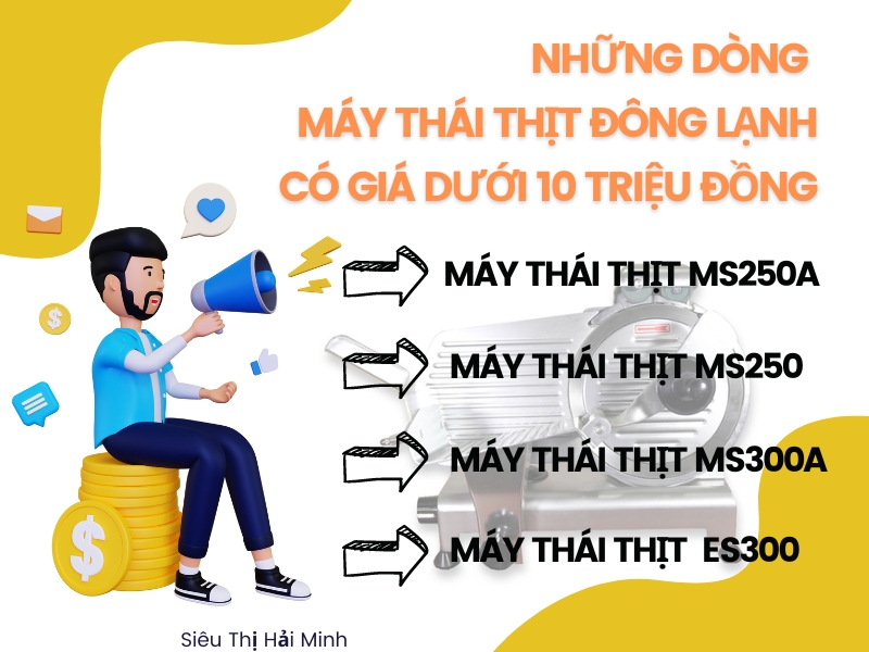 Nhung-dong-may-thai-thit-dong-lanh-co-gia-duoi-10-trieu-dong