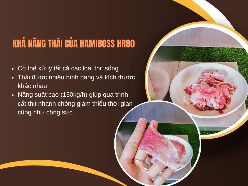 khả năng thái của Hamiboss HR80