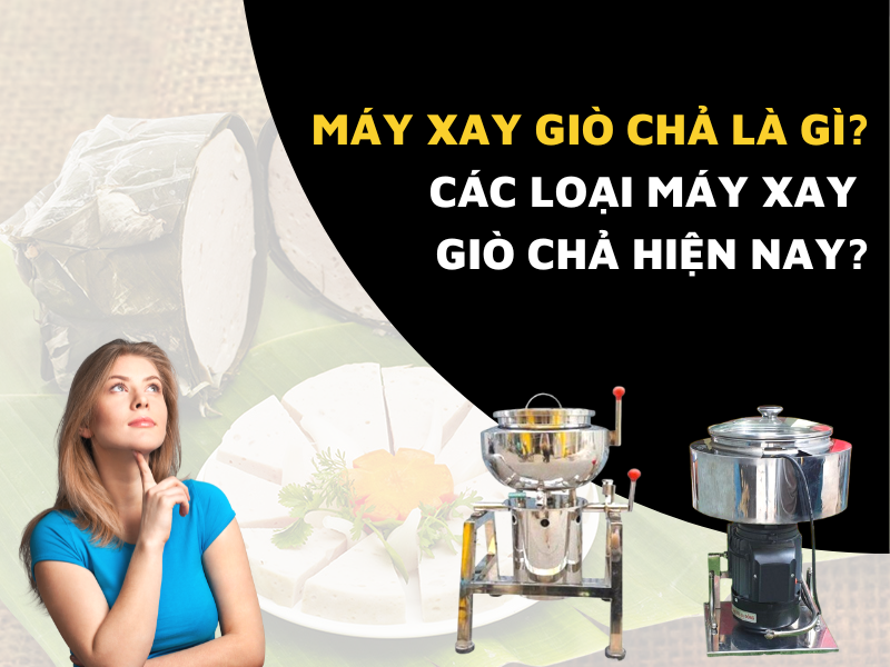 Máy xay giò chả là gì Các loại máy xay giò chả hiện nay