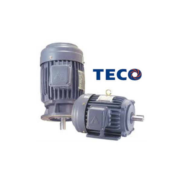 Motor Teco Việt Nam