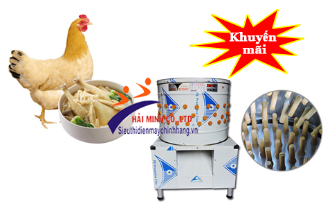 Hướng dẫn vặt lông gà vịt nhanh sạch nhất