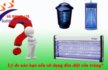 Những lí do bạn nên sử dụng đèn diệt côn trùng