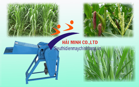 Lựa chọn dòng máy băm cỏ phù hợp với nhu cầu sử dụng
