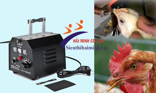 Máy cắt mỏ gà giúp cải thiện chất lượng vật nuôi tốt hơn 