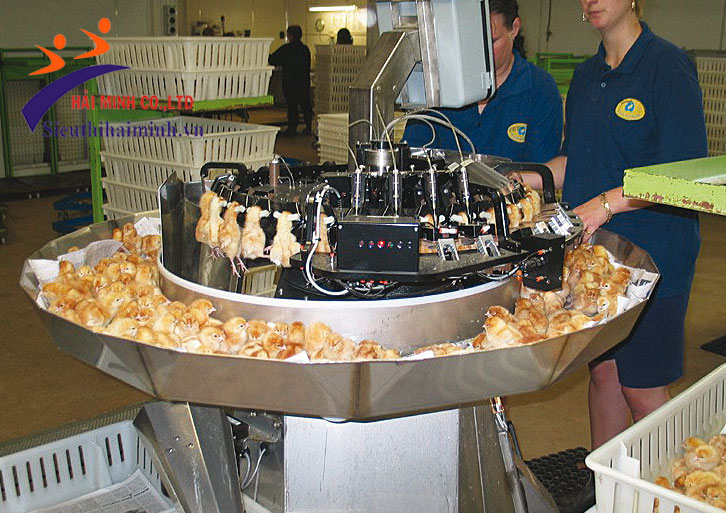 Máy cắt mỏ gà trong công nghiệp