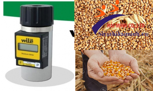 Sử dụng máy đo độ ẩm nông sản dạng cốc Wile 55 đúng cách