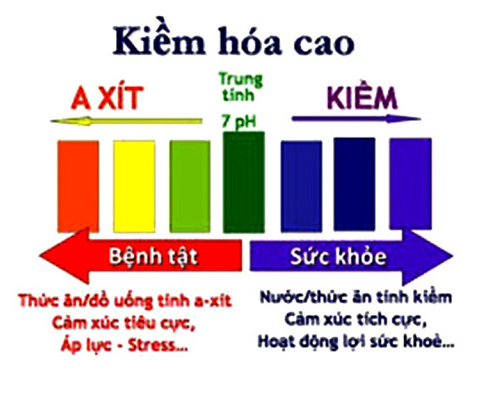 Bảng chỉ số pH thể hiện sức khỏe của con người