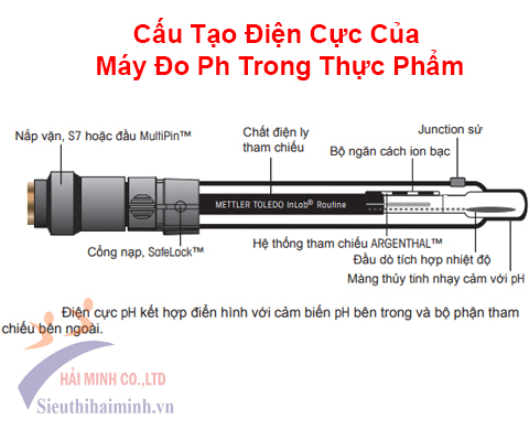 Cấu tạo và nguyên lý động của điện cực ph