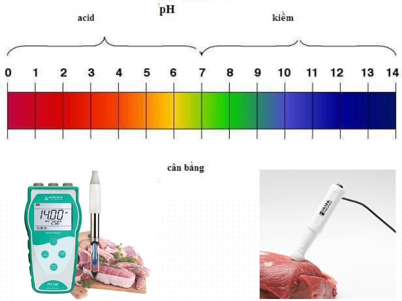 Chỉ số độ pH của thịt như thế nào là đảm bảo