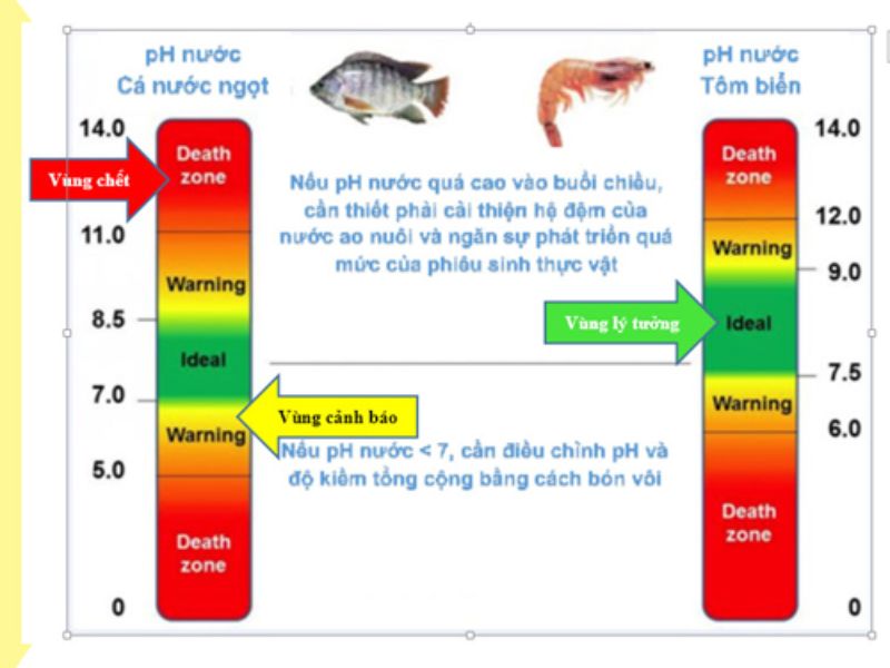 Đánh giá tổng quan về thiết bị đo pH cho bể cá