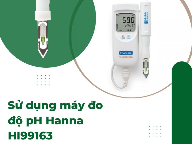 Máy đo độ pH Hanna HI99163 đo pH thịt chính xác