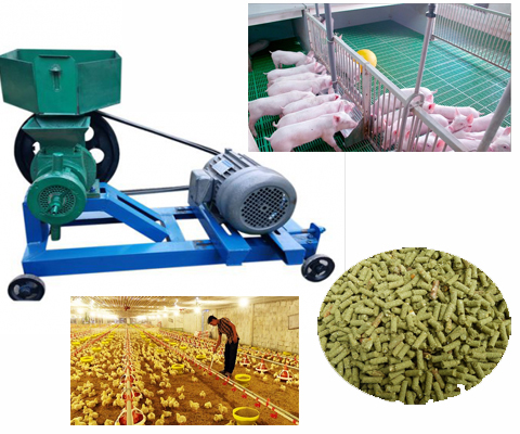 Máy ép cám viên công suất lớn HM 150A