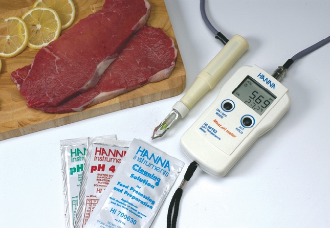 Thiết kế gọn nhẹ của máy đo pH thực phẩm Hanna Hi 99161
