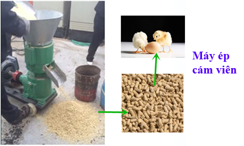 Máy ép cám viên chính hãng giá tốt