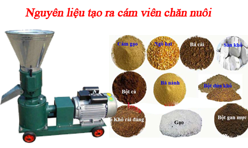 Nguyên liệu chính để tạo nên cám viên