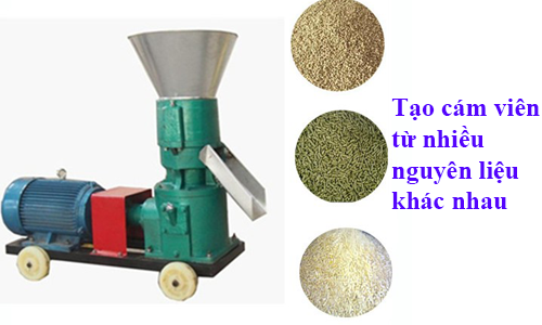 Tạo ra nguồn thức ăn bổ dưỡng cho gia súc, gia cầm