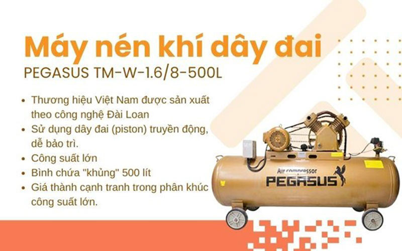 Pegasus TM-W-1.6/8-500L