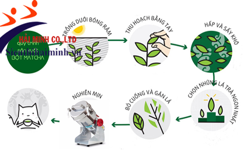 Cách vận hành máy nghiền bột trà rất đơn giản