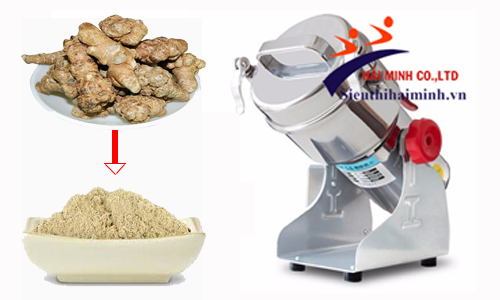 Nghiền bột tam thất siêu mịn nhờ máy nghiền bột