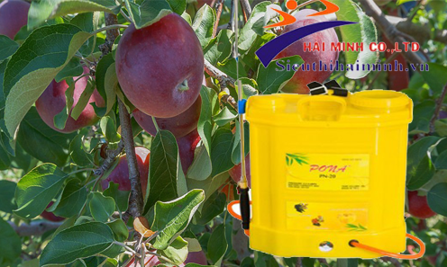 Sử dụng máy phun thuốc pona an toàn, hiệu quả