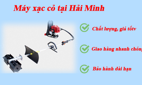 Máy xạc cỏ tại Siêu thị điện máy Hải Minh