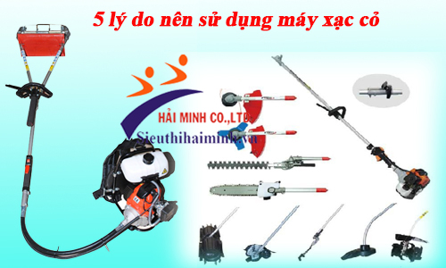 Tại sao nên sử dụng máy xạc cỏ ngay hôm nay 