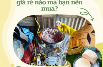 Máy xay giò chả gia đình giá rẻ nào mà bạn nên mua?