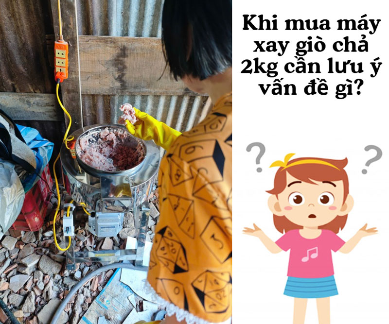 Khi mua máy xay giò chả 2kg cần lưu ý vấn đề gì?