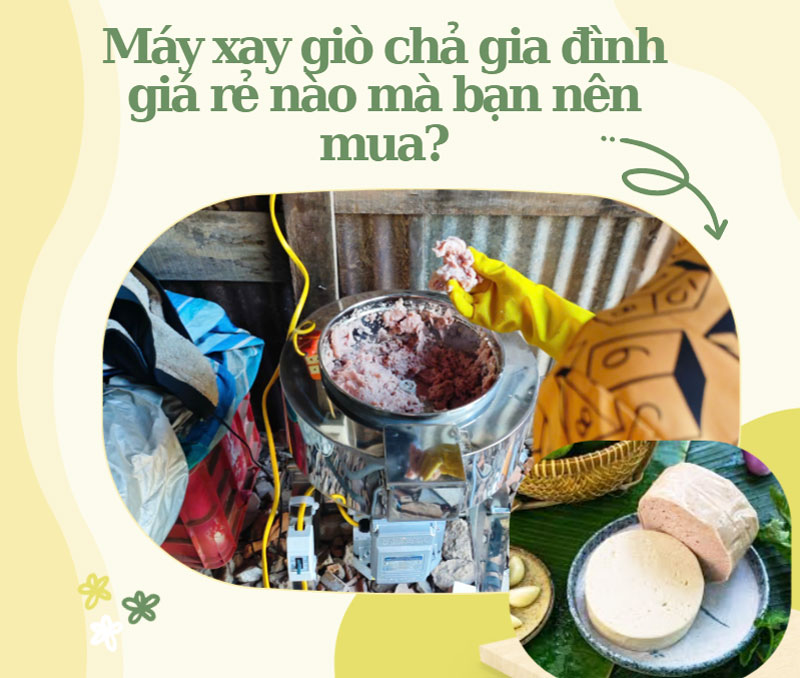 Máy xay giò chả gia đình giá rẻ nào mà bạn nên mua?
