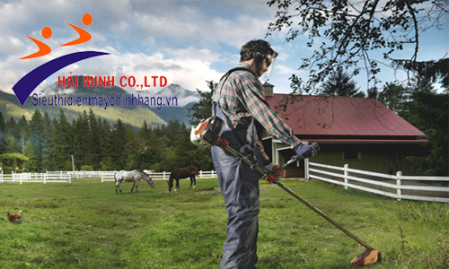 Cách sử dụng máy cắt cỏ cầm tay