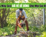 Hình ảnh 5 Máy Cưa Giá Rẻ Dễ Dùng Cho Mọi Gia Đình