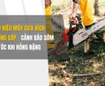 Hình ảnh Dấu hiệu máy cưa xích xuống cấp - Cảnh báo sớm trước khi hỏng nặng