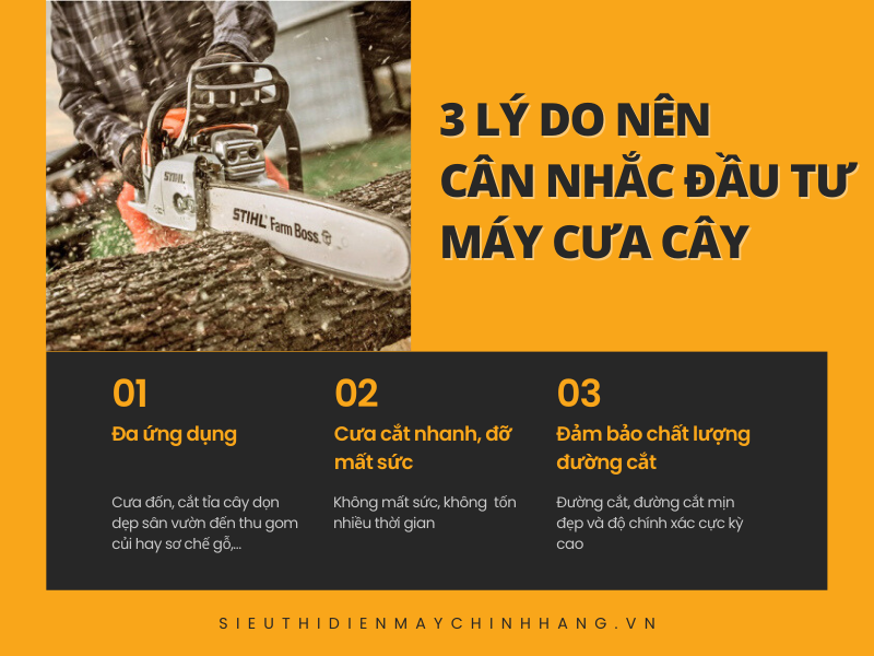 3 lý do nên cân nhắc đầu tư máy cưa cây