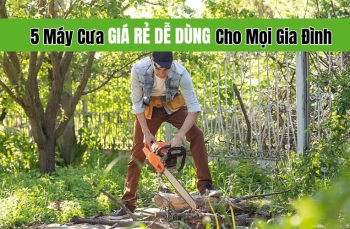 5 Máy Cưa Giá Rẻ Dễ Dùng Cho Mọi Gia Đình