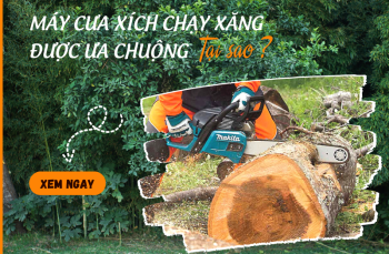 Tại sao máy cưa xích chạy xăng lại được ưa chuộng?