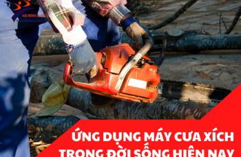 Ứng Dụng Của Máy Cưa Xích Trong Đời Sống Hiện Nay